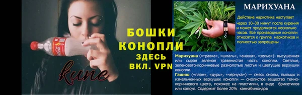эйфоретик Михайлов