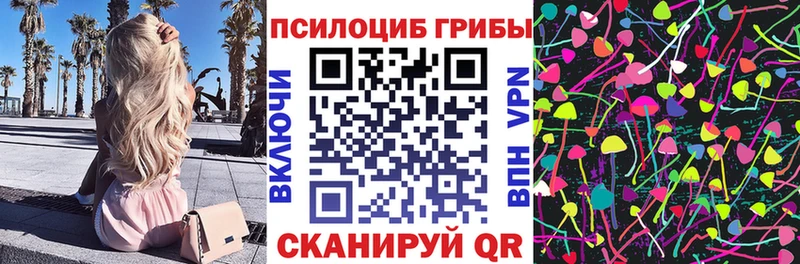 купить наркотики сайты  Далматово  Галлюциногенные грибы MAGIC MUSHROOMS 